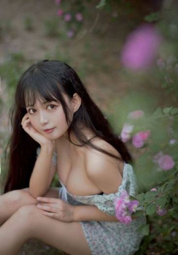 枫与铃动漫观看