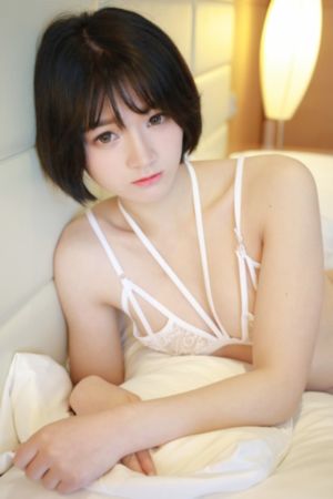 姐姐4在线观看免费全集