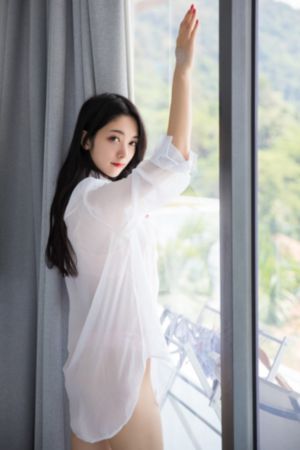 善良的妻子的朋友
